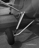 Drawing - Paul Matt - Aeronca 7AC Champion