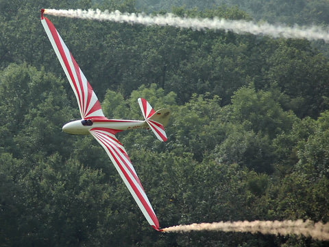 Plan - 1170 DFS Habicht